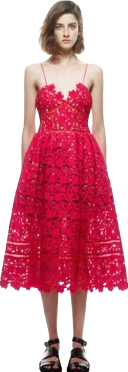 Amelia Lace Midi Dress Source.At Amelia Lace Midi Dress Source.At