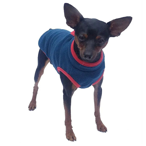 Dog wearing a blue fleece sweater with red trim on a white background