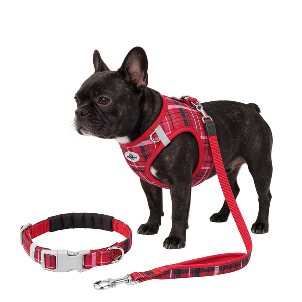 Tartan dog harness with matching leash in a classic plaid design