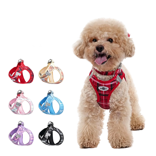 Tartan dog harness with matching leash in a classic plaid design