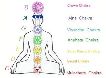 Diagram of the chakra system with labels on a white background