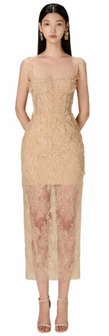 Daisy Corset Fine Lace Sheer Dress - Source.At
