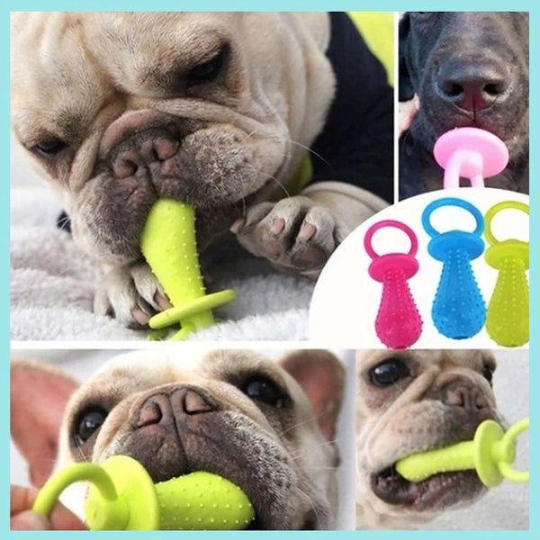 A collage showing a light-colored dog biting and chewing a silicone pacifier-style dog toy in bright yellow-green, with inset close-ups of the dog using it and three standalone toy color options (pink, blue, and yellow-green) on a white background.