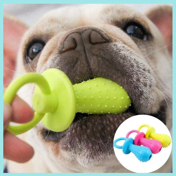 French bulldog chewing a bright green silicone teething toy, with blue, pink and yellow toys shown in an inset.