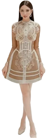 Selma Toffee Dress is a chic A line mini with classic collar, sheer sleeves & warm embroidered tones. Effortless day to evening elegance.