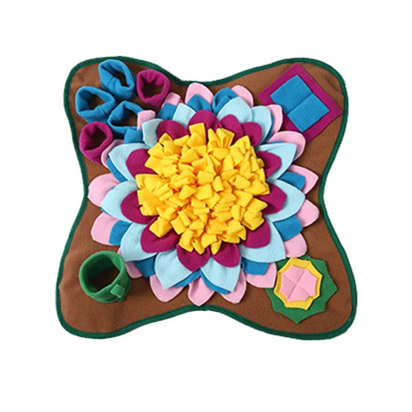 Colorful flower-shaped pet toy on a white background