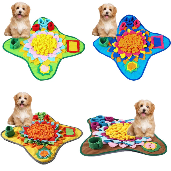 Colorful dog mat with floral design and small dog sitting on it, on a white background