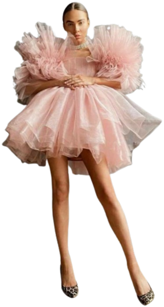 Paloma Tulle Tutu Dress comes in blush pink with tulle ruffles that are tiered. Lush dramatic sleeves and very short skirt. For dinner, party and club. 