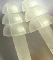Soft Silicon Coloured Earplugs handy, portable, compact very soft comfortable. 6 pairs boxed. Sound proof and relaxatng. Sleeping, meditating and swimming. Washable.
